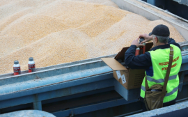 Россельхознадзор обсудил с ГТУ Китая вопросы допуска на китайский рынок новых видов зерновой продукции