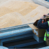 Россельхознадзор обсудил с ГТУ Китая вопросы допуска на китайский рынок новых видов зерновой продукции