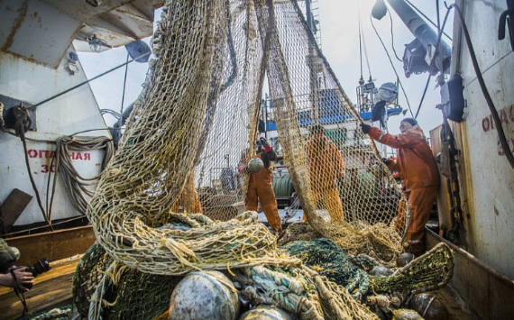 Государство и бизнес-сообщество продолжают корректировать законопроект о втором этапе модернизации рыбной отрасли