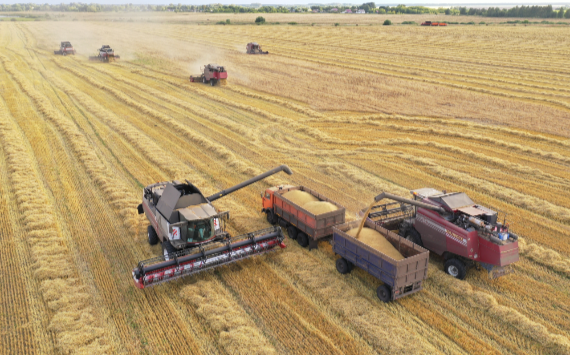 Экспортеры обсудили с представителями Минсельхоза России за рубежом поставки зерновой продукции