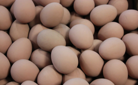 В Пензенской области раскрыли заговор «яйцекартеля»