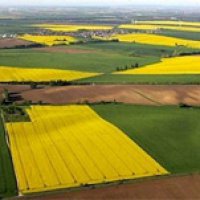 Минсельхоз Пензенской области в 2016 году планирует ввести в оборот 89,2 тыс га неиспользуемых земель