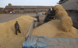 В Пензенской области поздравили аграриев с первым миллионом тонн зерна