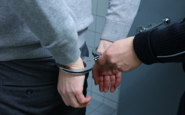 В Пензенской области число преступлений возросло почти на 10%